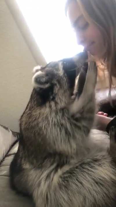 Such a gentle boy&hellip;