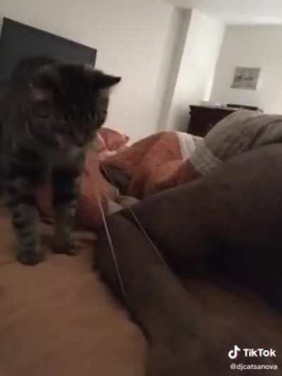 [First Attempt at cutting] Not OP. Credit in the video watermark in video and u/noobshifu69