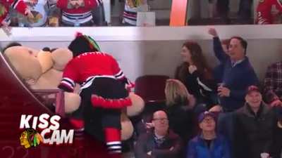 She Bearly Noticed It Until It Move.
