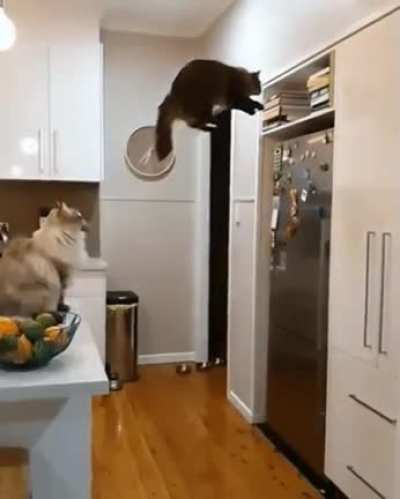 Like a glove