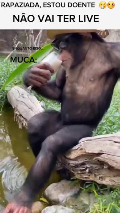 MUMU