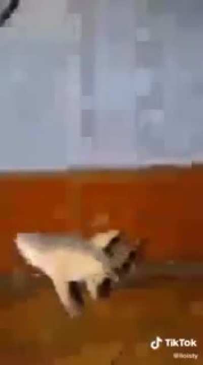 When