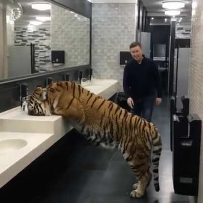 Wash your hands!