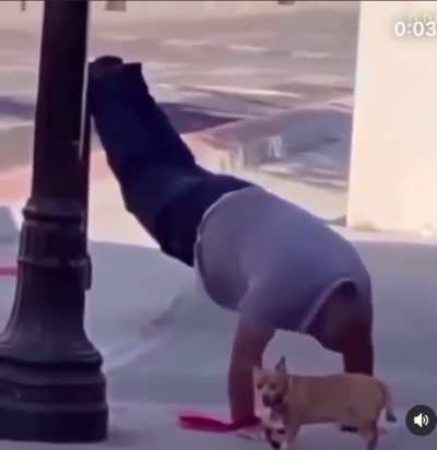 The dog so disappointed for that to be his owner bro lookin away