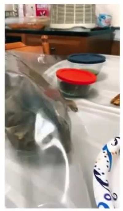 You won&rsquo;t even notice I&rsquo;m here