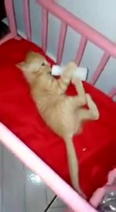 o pera na vida real