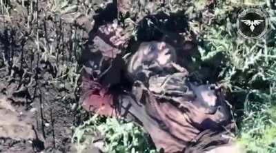 After a failed russian assault an ukrainian FPV drone chases a russian soldier that runs out of steam and asks not to hit him. 47 OMBR, 2024, May.