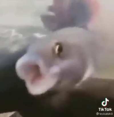 AAAAAAAAAAAAAAAAAA