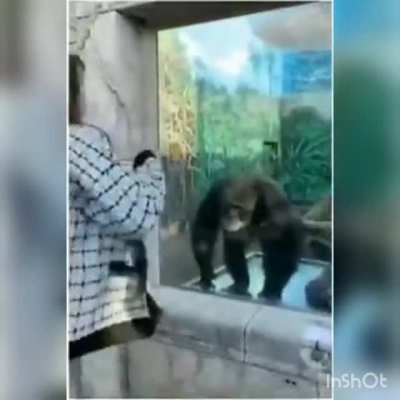 Acho que posso falar que &eacute; meu pq o v&iacute;deo original n&atilde;o tinha &aacute;udio 😑
