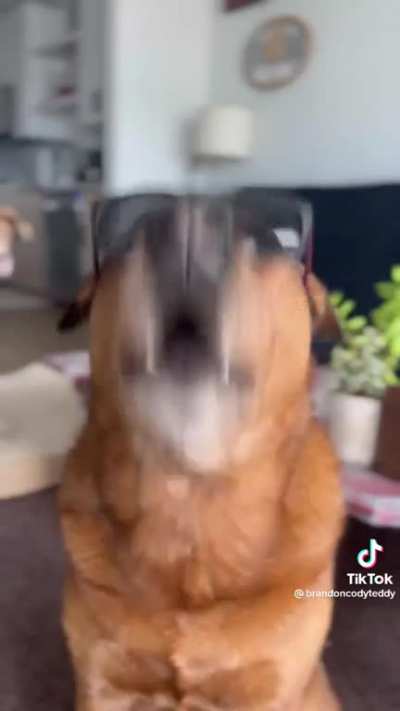 &ldquo;Wait for the drop&rdquo;