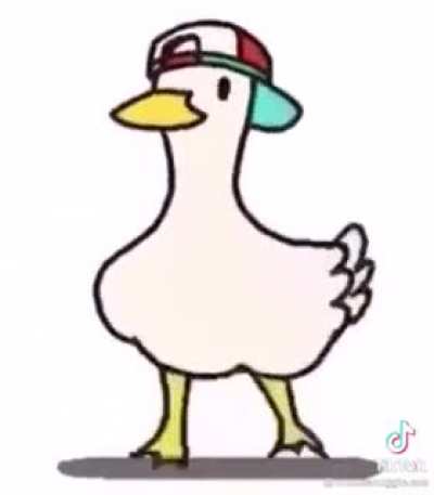 It&rsquo;s a duck it&rsquo;s a good song what more could you want