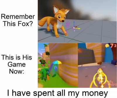 Excited🦊irl