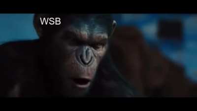 APES HOLD