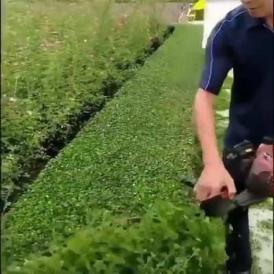 Смотрел бы и смотрел
