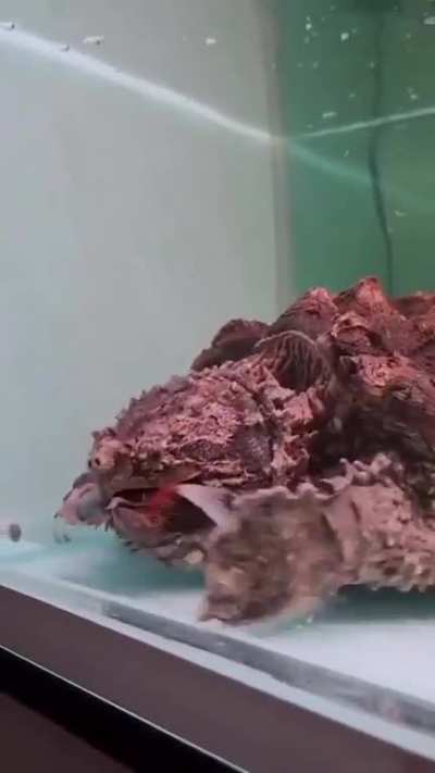 Maybe maybe maybe