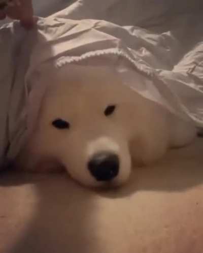 That smile