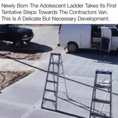 For fear of being abandoned, this ladder is returning to mother van.