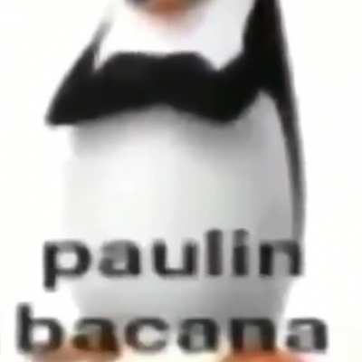 Imagens do ser mais proximo do deus da morte