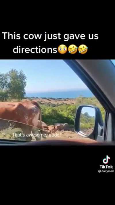 Maybe maybe maybe