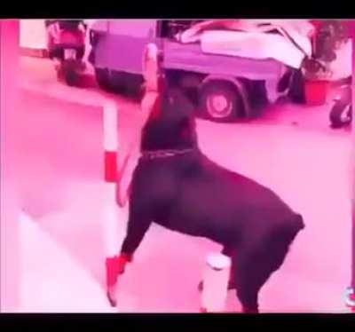 Run