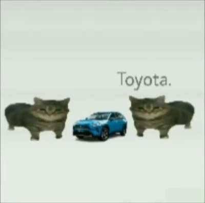 Tyota