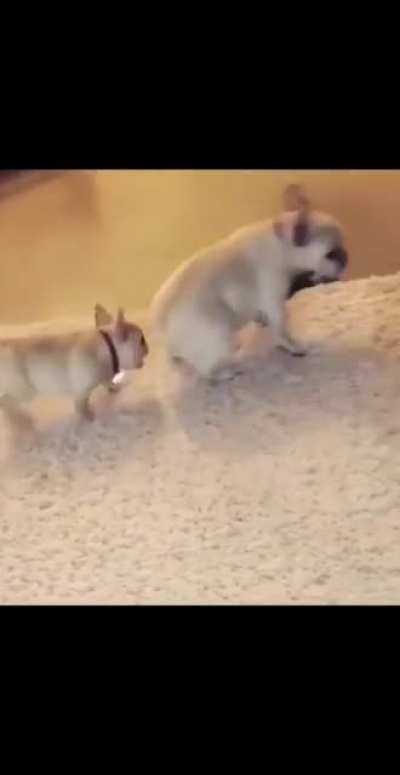 Booty Boop