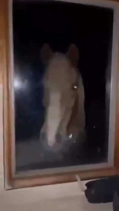 Lock your doors