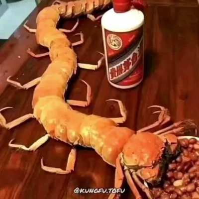 cursed_compilation