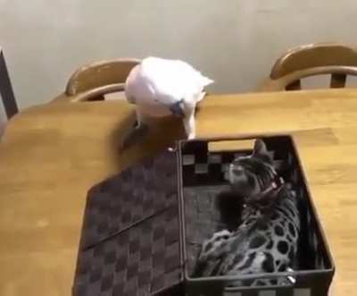 "You rude you can stay in that box&rdquo;...