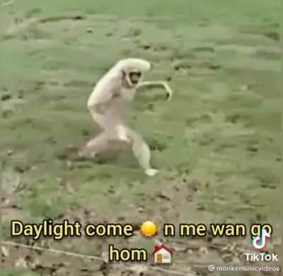 Monke