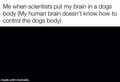 My brain hurts