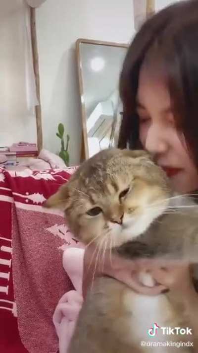 Nyan&rsquo;s origin story