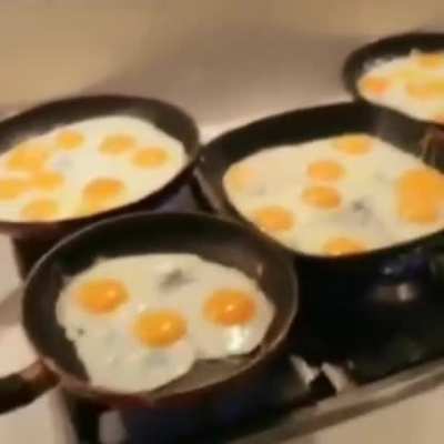 e g g