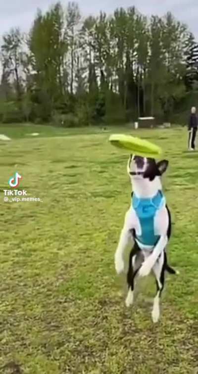 nice catch 