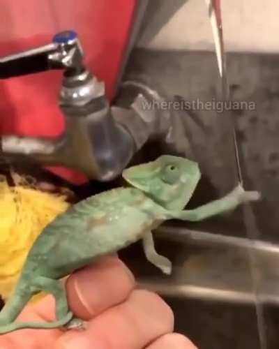 OH SHIT