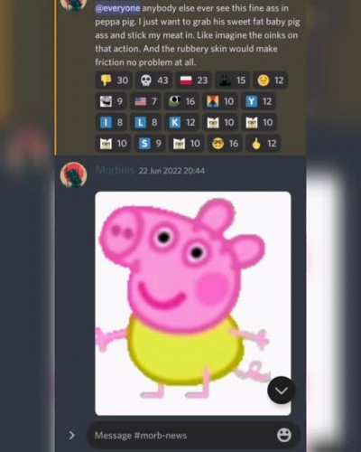 🐷