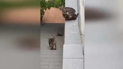 Maybe Maybe Maybe