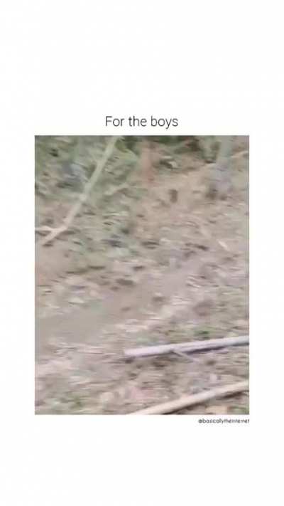 For the Boyz 