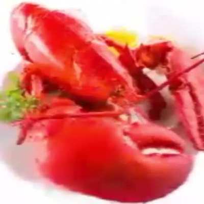 lobster