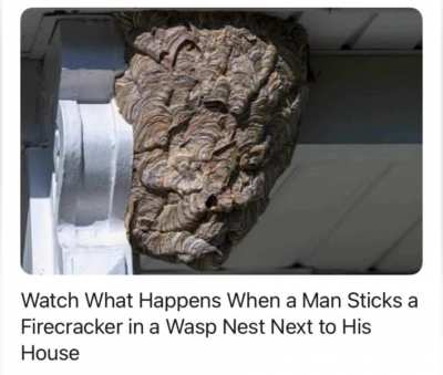 It&rsquo;s not a war crime if it&rsquo;s on insects