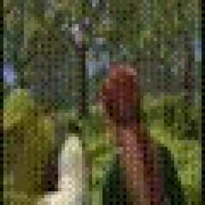 The entire shrek movie as a gif