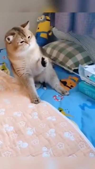 Aaaaaaaaaaa!!