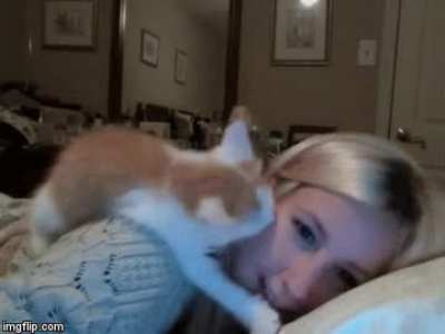 Touch Tha Face