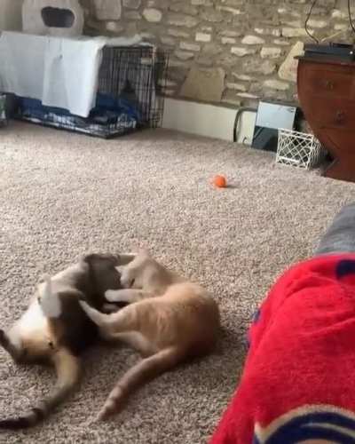 RKO