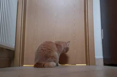 Whenever I go to the bathroom without her. 17 yells in 43 seconds