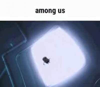 rule