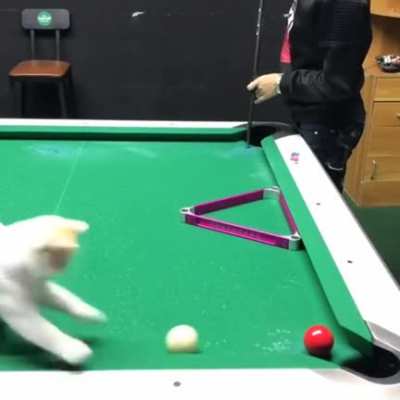 Billiard trick