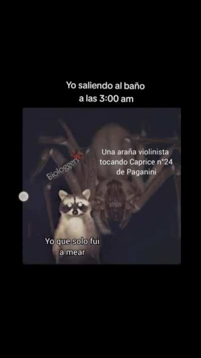 Este meme tiene varias capas