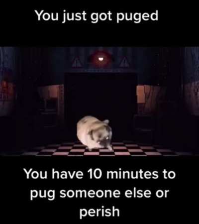 Get pugged