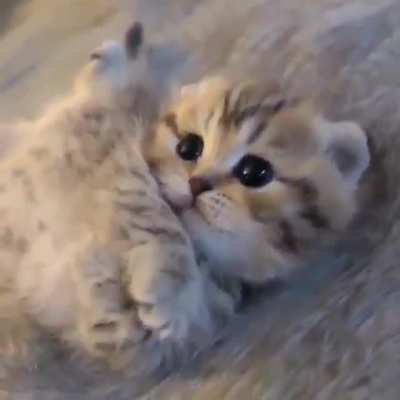 My heart ! &amp;lt;3
